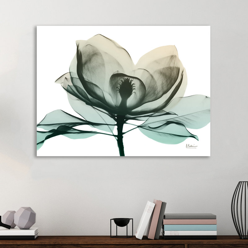 Emerald Magnolia 2 - Wrapped Canvas Print, 30 cm H x 41 cm W