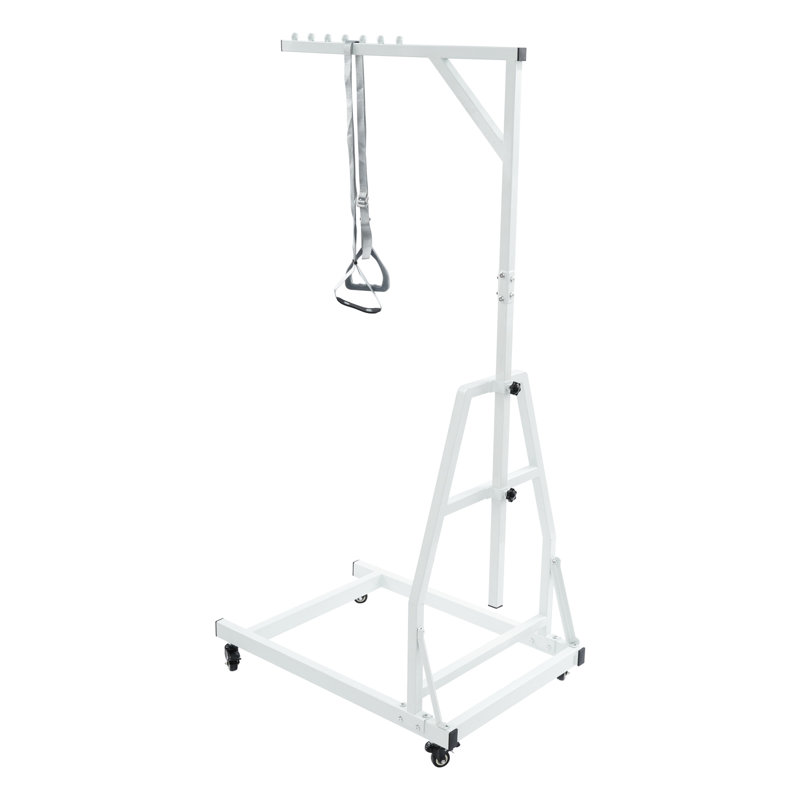 Heavy Duty Pull Up Assist Bar, White