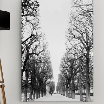 " French Avenue " by Danita Delimont
