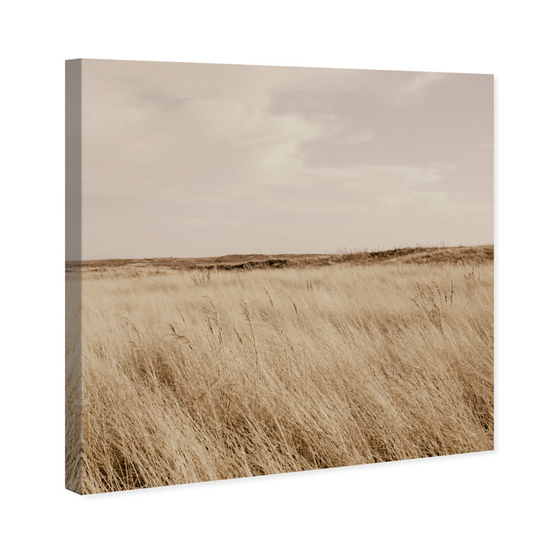 Golden Nature Print by Oliver Gal, Gallery Wrapped, 16"H x 16"W