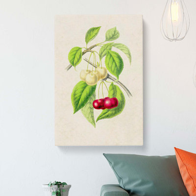 Illustration of Cherries - Wrapped Canvas