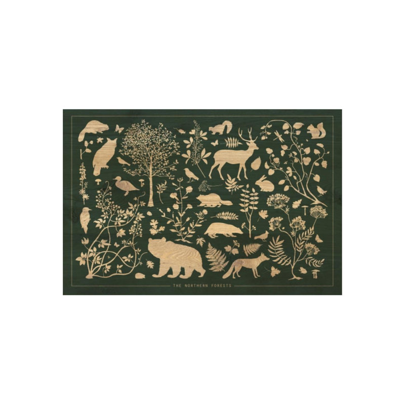 Les forêts du nord par Clara Wells - Impression sur toile, H 24 po x l 36 po x P 1,5 po, Couche de verre