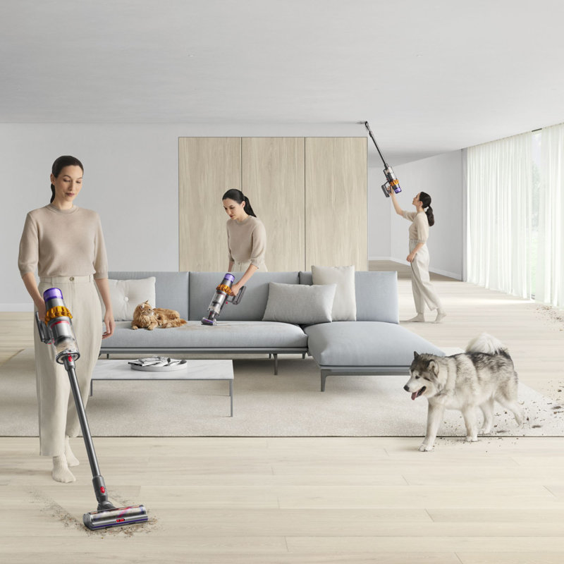 Dyson V15 Detect