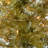 Champagne Tinsel Tree with Clear Lights-1256393131