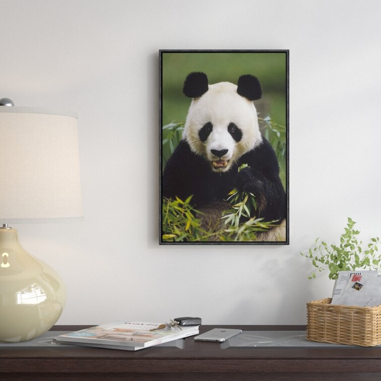 Bless international Giant Panda Feeding On Bamboo Framed On Canvas ...