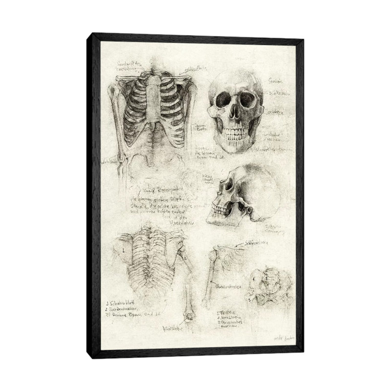 Skeleton by Mike Koubou - Print on Canvas, Black Framed, 66.04cm H x 45.72cm W x 3.81cm D
