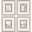 Scroll Series II Framed Art