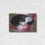«Chien sur un tapis» par Durwood Coffey-659417995