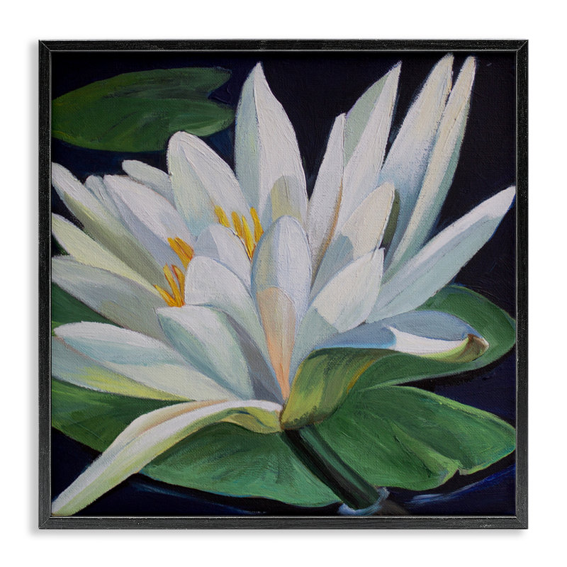«Waterlily Petals on Pond», dessin de Violeta Vollmer, H 12 po x l 12 po, Giclée encadrée noir minuit
