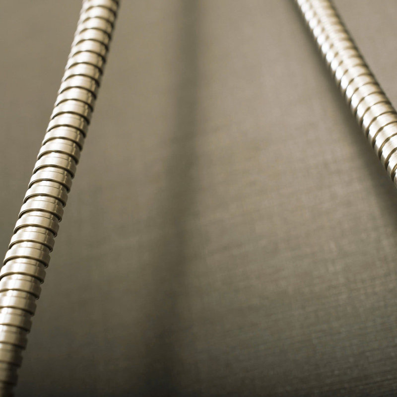 DAX Brass Shower Hose, Brushed Nickel