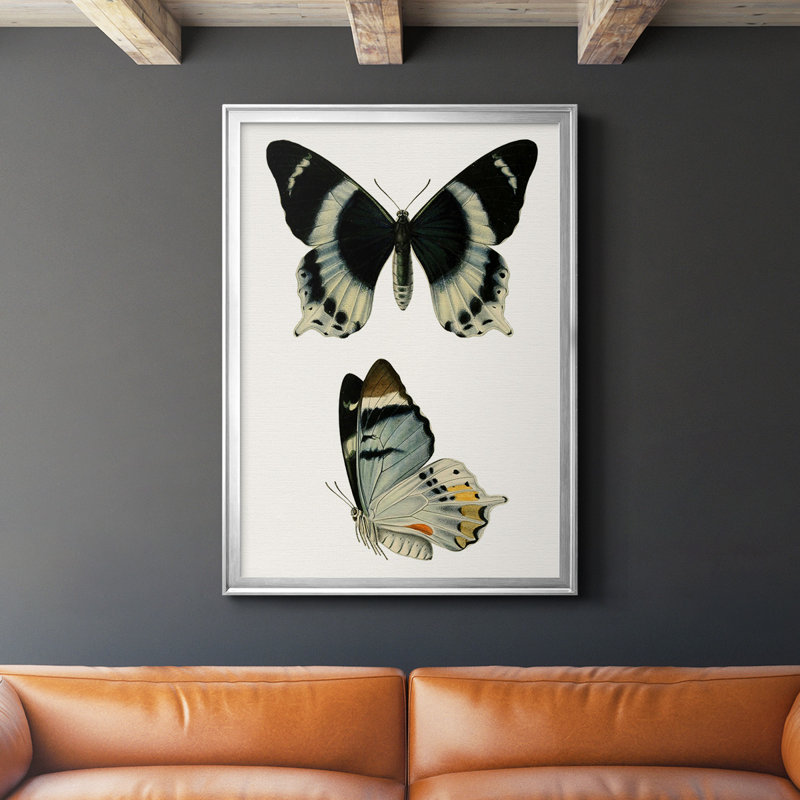 «Antique Blue Butterflies I», reproduction encadrée de qualité supérieure - prête à être accrochée, Encadrement argenté