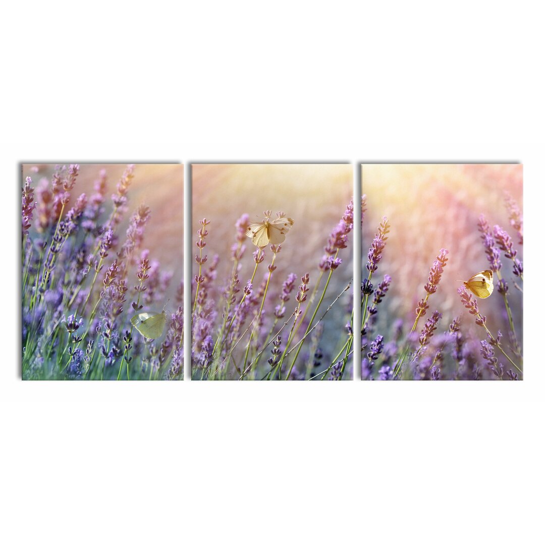 3-tlg. Leinwandbilder-Set Butterflies on Lavender Flowers