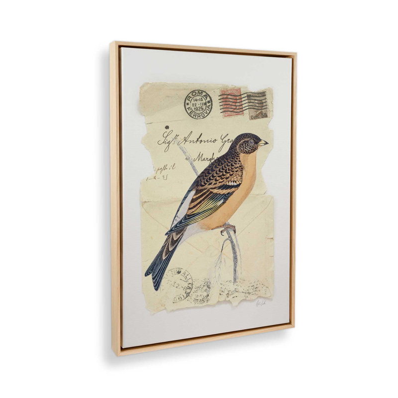 Impression sur toile Mountain Finch par Deborah Revell, H 24 po x l 18 po, Cadre flottant, Tanné