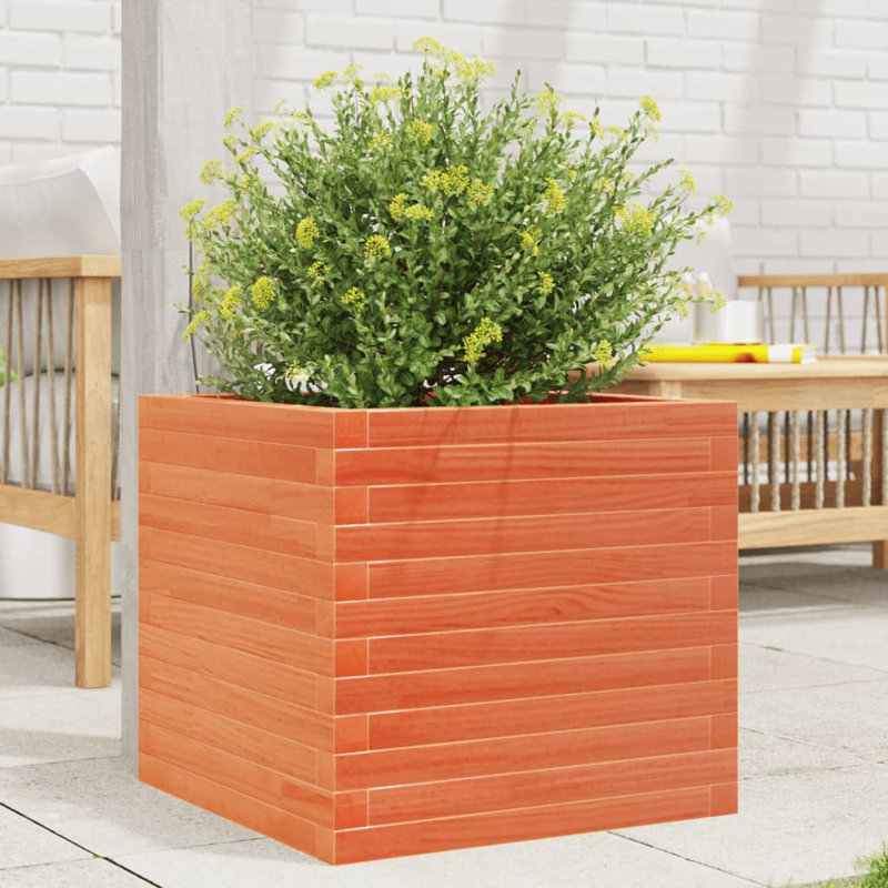 2 Wood Planter, 45.5cm H x 50cm W x 50cm D, Wax brown