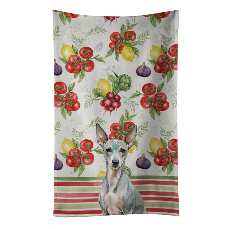 Serviette de cuisine American, American Hairless Terrier