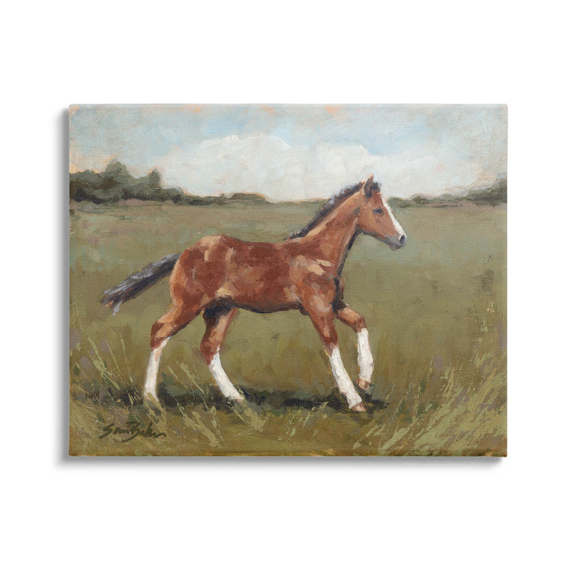 Art mural sur toile campagne cheval au galop par Sara Baker, H 16 po x l 20 po x P 1,5 po
