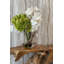 Vandas et cymbidiums dans un vase