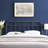 Alessia Metal Headboard-1674258640-1674258642