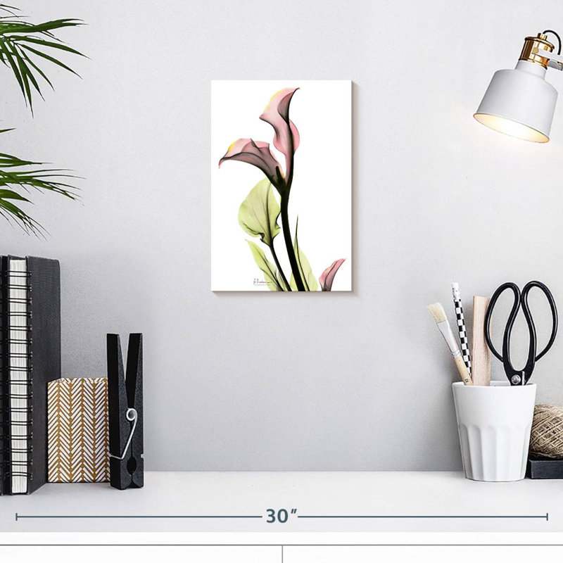 Harnek délicat, lis Calla, H 12 po x l 8 po