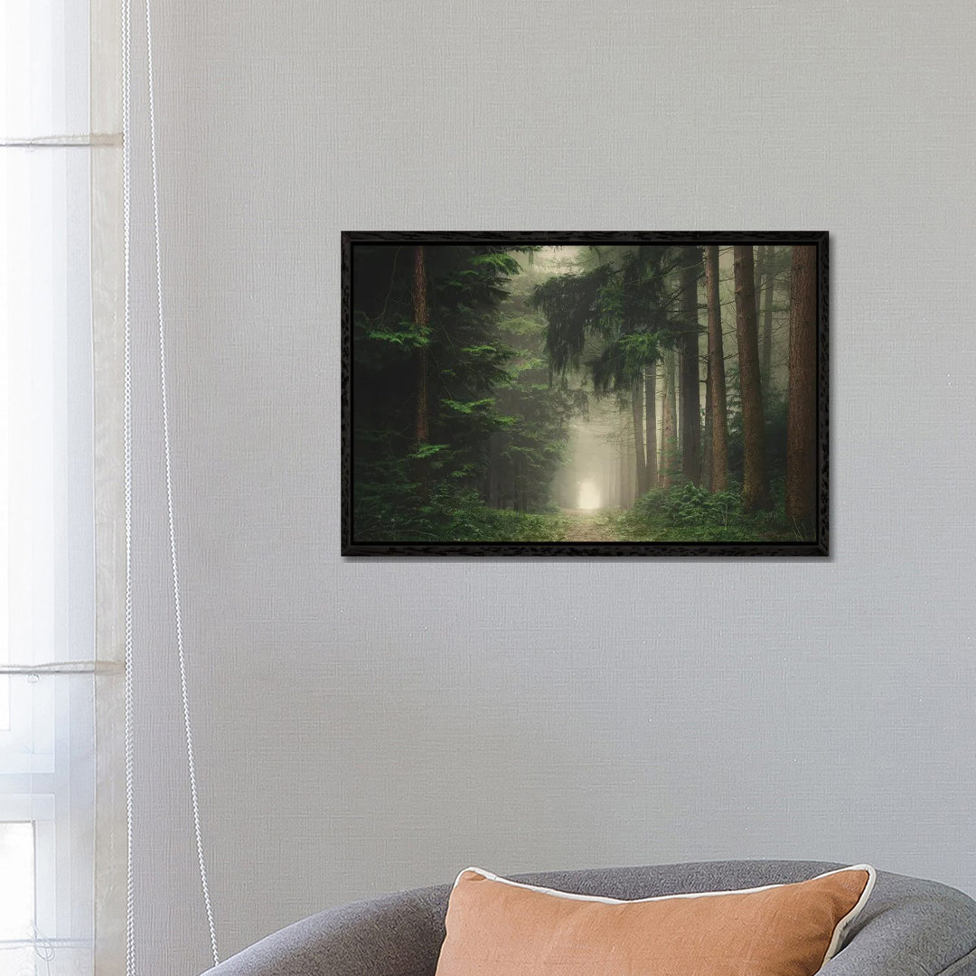 Grüner nebliger und stimmungsvoller Wald von Rob Visser - Galerie-verpackte Leinwand Giclée