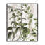 Art rustique de vignes botaniques par Kim Allen bg-221-103003199-103003196