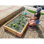 Weather Resistant Plant Support