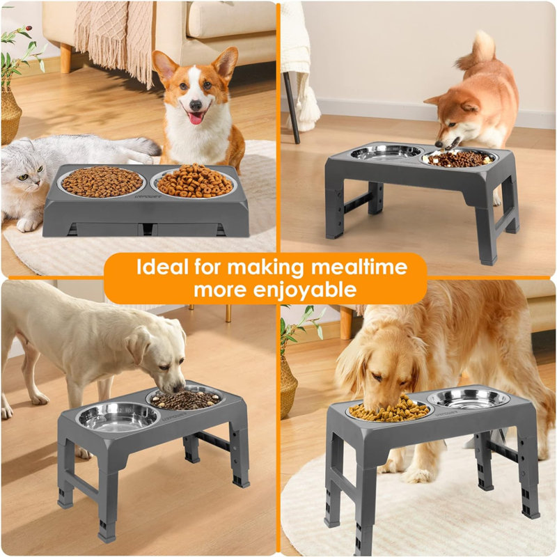 Elevated Feeder, Gray