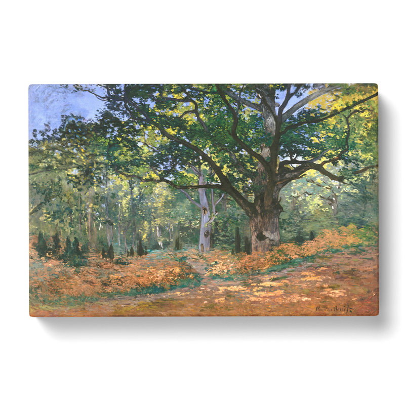 The Bodmer Oak Tree by Claude Monet - Wrapped Canvas Painting, 50cm H x 76cm W x 3cm D