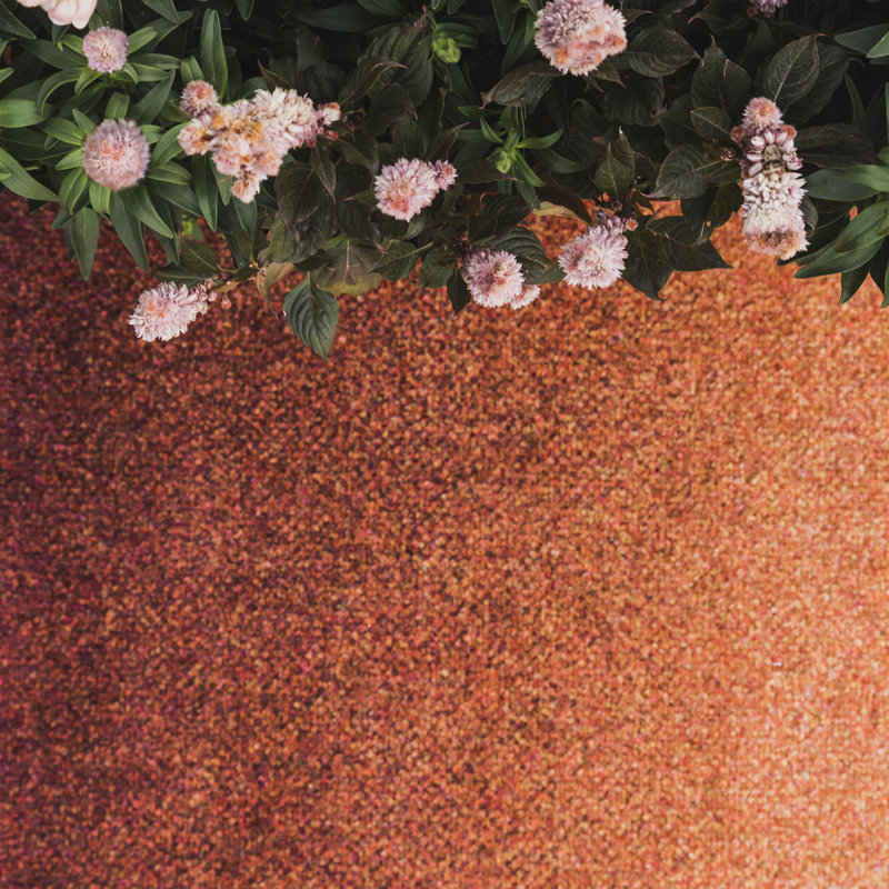 Dis Rust, 32" W x 44" L