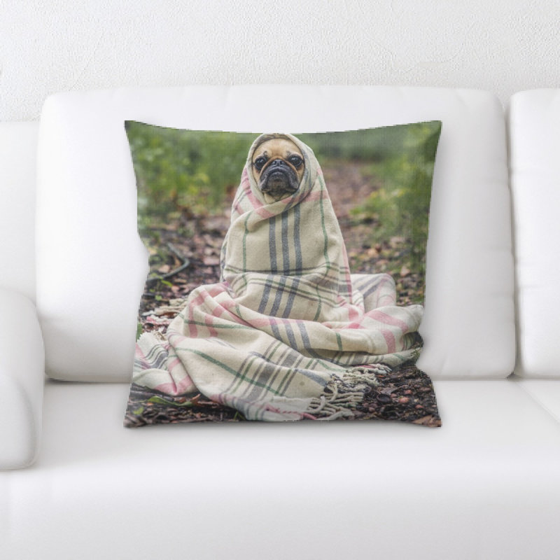 Coussin carlin