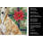 Fawn Greyhound Christmas PoinsettIas Kitchen Towel-2080583756