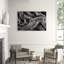 Bristlecone Study Print by Harold Davis-26677848-26677851