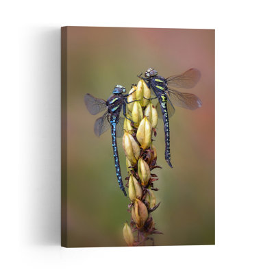 Peaceful Dragonfly Pair Peaceful Serene Tranquil Dragonfly Nature Plant Wall Art Print 1 Piece Wrapped Canvas Wall Art