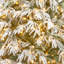 225cm H Lighted Artificial Fir Christmas Tree