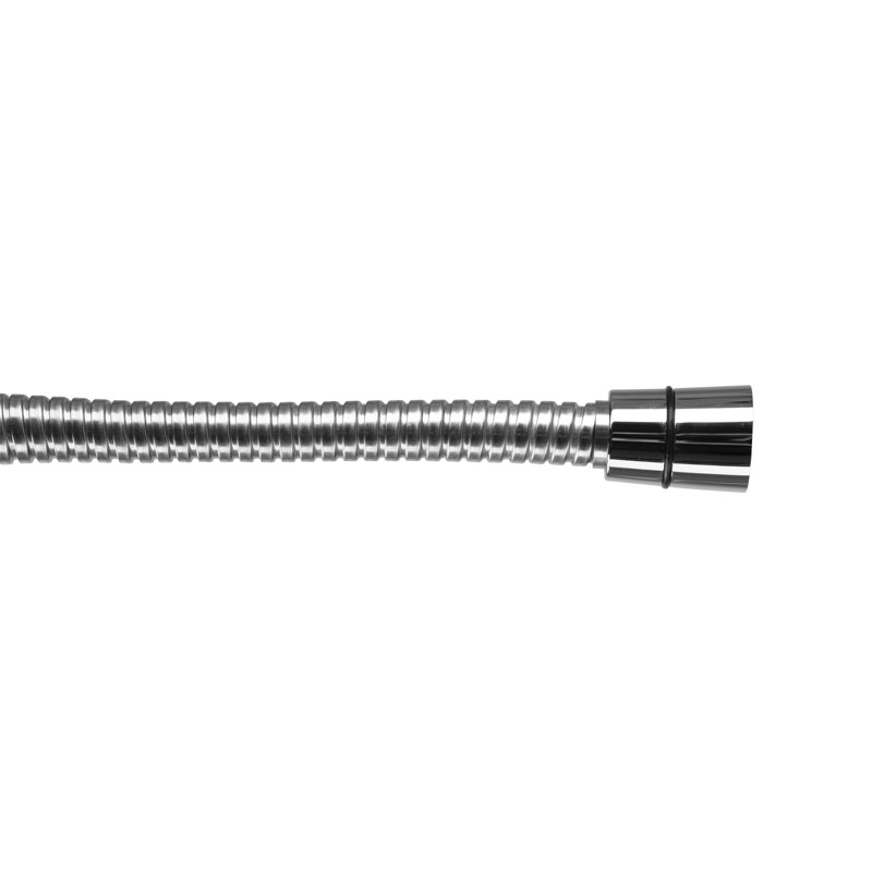Handheld Shower Head