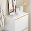 6 Pair Shoe Storage Cabinet