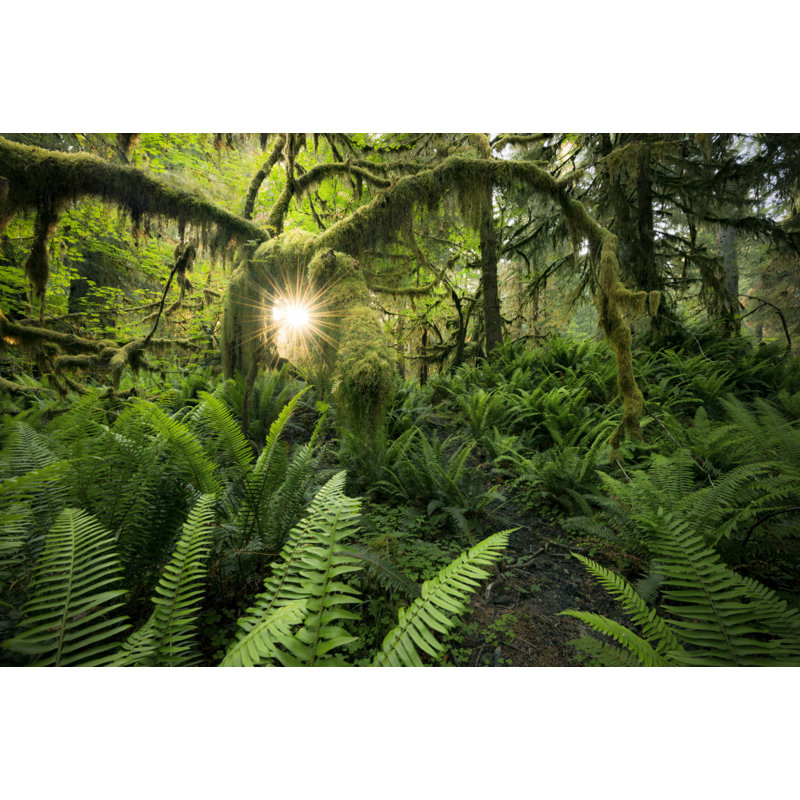 Wrapped Canvas Print, 50.8 cm H x 76.2 cm W