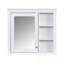 Armoire de rangement murale avec miroir et 3 tablettes ouvertes-200763104
