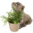Cole And Grey 1 Piece Resin Textured Dog Planter With Antique Pot Set