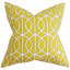 Square Pillow Cover & Insert-1296200354-1296200382