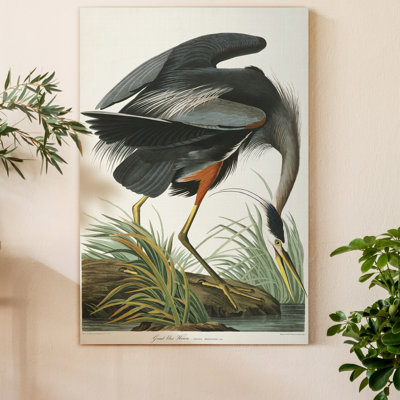 « Pl 211 Great Blue Heron », reproduction d’art sur toile tendue