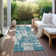 Chayden Indoor/Outdoor Chantille ACN1008 Area Rug