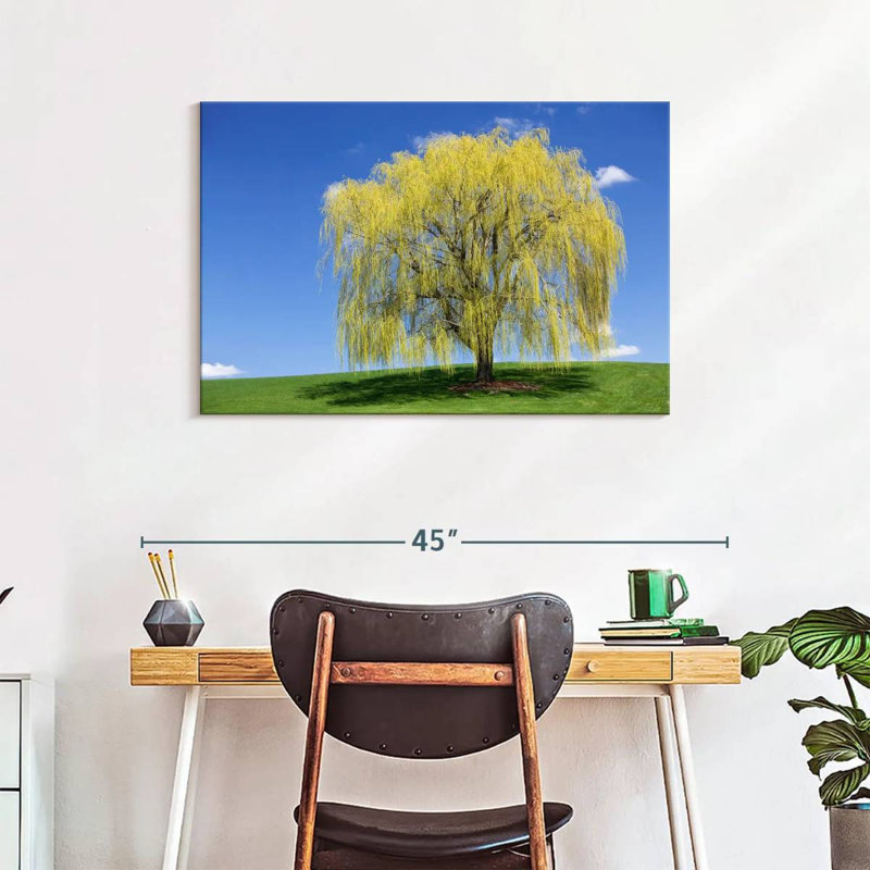 Harnek Spring Weeping Willow, 24" H x 36" W
