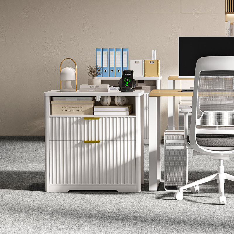 73cm Wide 2 -Drawer File Cabinet, White