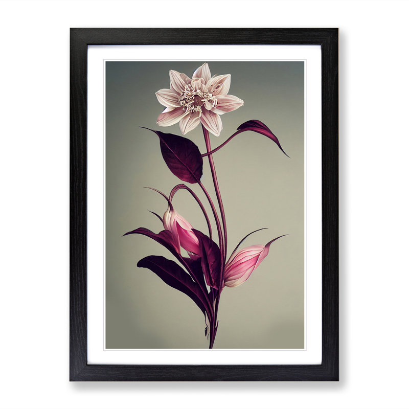 The Intense Flower - Single Picture Frame Print, Black Framed, 64cm H x 46cm W x 2cm D