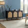 Castyn 56" Wide Rattan Door Sideboard with Adjustable Shelves