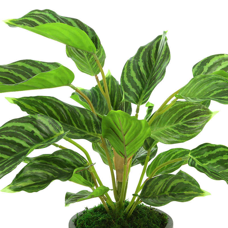 17'' Faux Foliage Plant in Fiberstone Pot