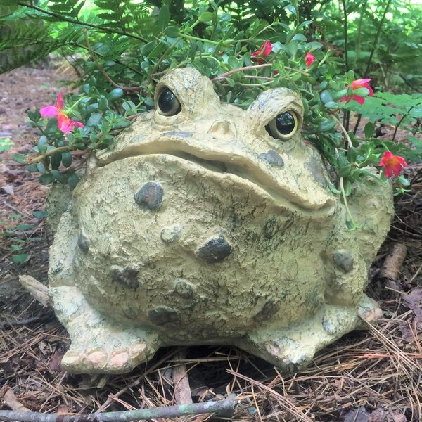 HomeStyles Toad Hollow Handmade Statue Planter & Reviews | Wayfair