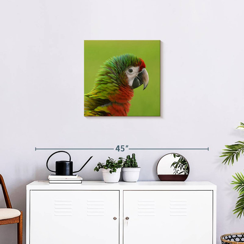 Brampt Macaw Bird Head, 20" H x 20" W