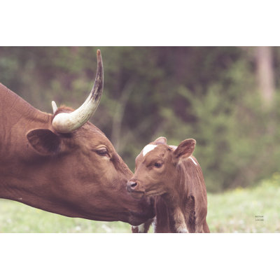 Longhorn Pairing by Nathan Larson